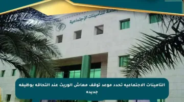 التأمينات الاجتماعية تحدد موعد توقف معاش الوريث عند التحاقه بوظيفة جديدة